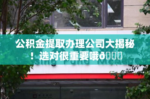 莆田公积金提取办理公司大揭秘！选对很重要哦😎