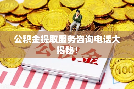 莆田公积金提取服务咨询电话大揭秘！